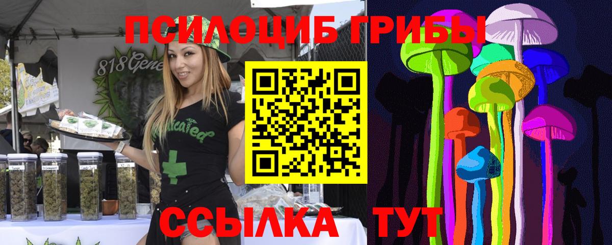 Псилоцибиновые грибы GOLDEN TEACHER  наркошоп  Чебоксары  Вход с VPN  Галлюциногенные грибы Psilocybine cubensis 